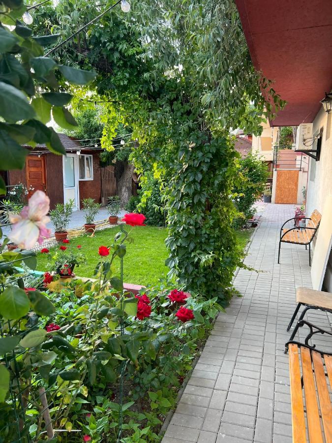 Vila Iris Mamaia Nord Navodari Bagian luar foto